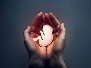 hands holding an imaginative fetus 