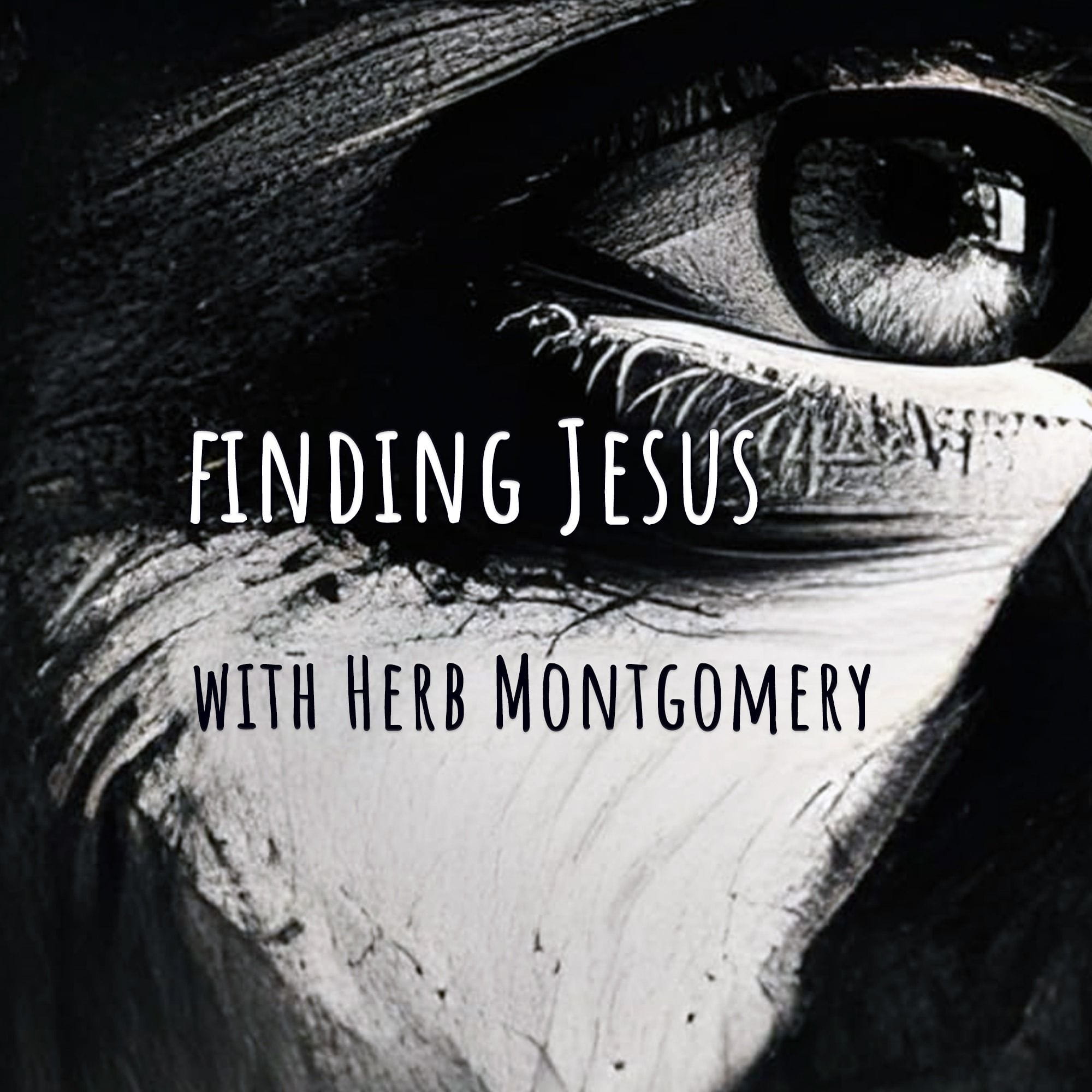 Finding Jesus With Herb Montgomery - Vimarsana News
