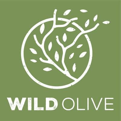 Episode 1: What is the Wild Olive podcast and how is it different from other Bible podcasts?