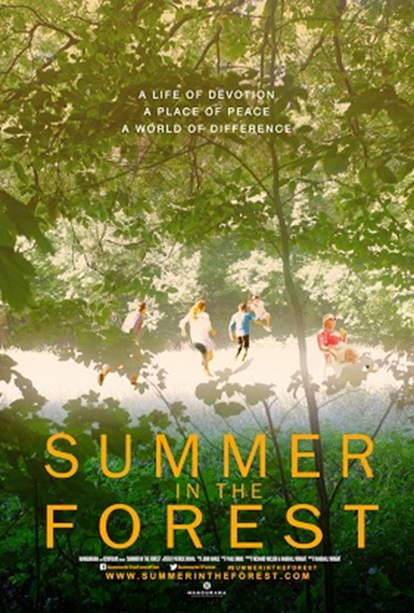 Summer in the Forest