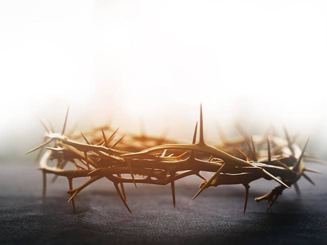crown of thorns, Good Friday