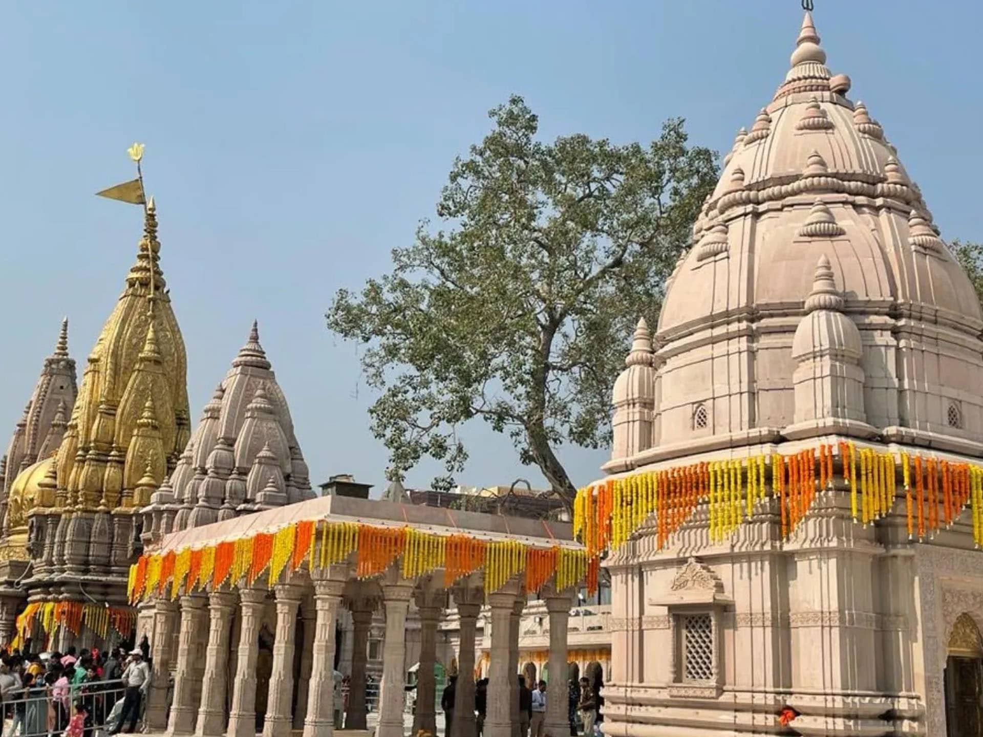 Shri Kashi Vishwanath Temple - Patheos Sacred Spaces