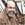 Michael Card