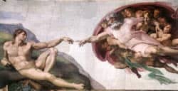 Genesis, Evolution, and the Sistine Chapel