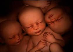 http://channel.nationalgeographic.com/episode/in-the-womb-2228