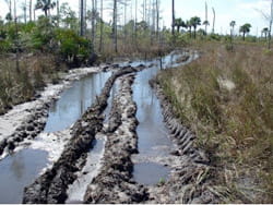 muddy road