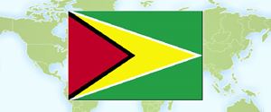 Flag of Guyana
