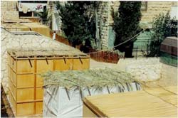 Sukkah