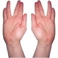 Kohanim hands via Wikimedia CC