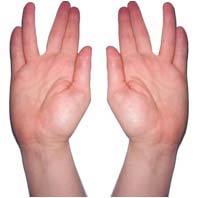 Kohanim hands via Wikimedia CC