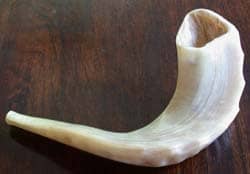 A ram's horn shofar: Photo by Olve Utne via Wikimedia CC