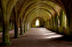Fountains Abbey as a grove of trees; photo courtesy of youcallthisart? via C.C. License at Flickr