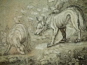 a charcoal drawing of a wolf stalking a lamb