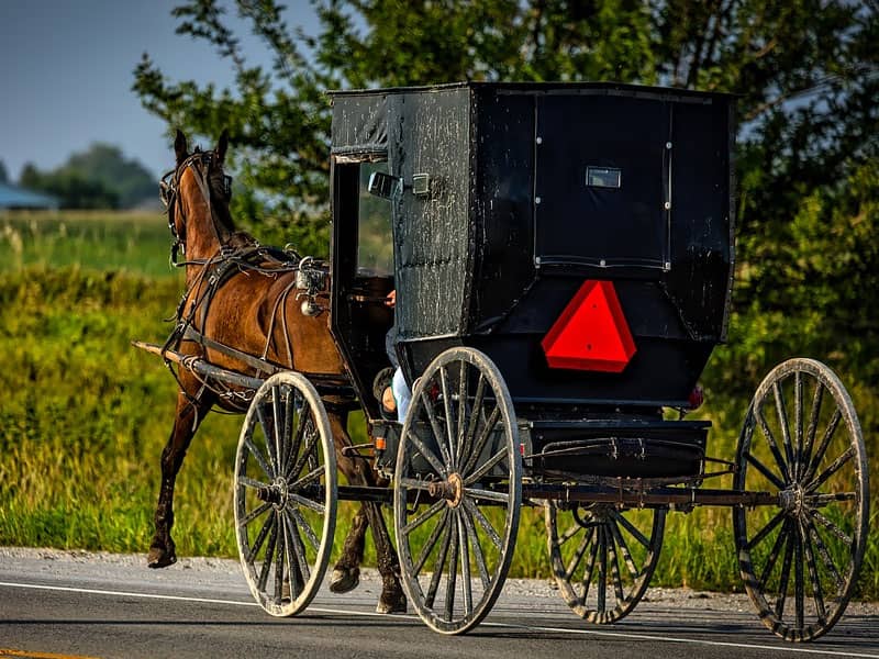 Amish Buggy 