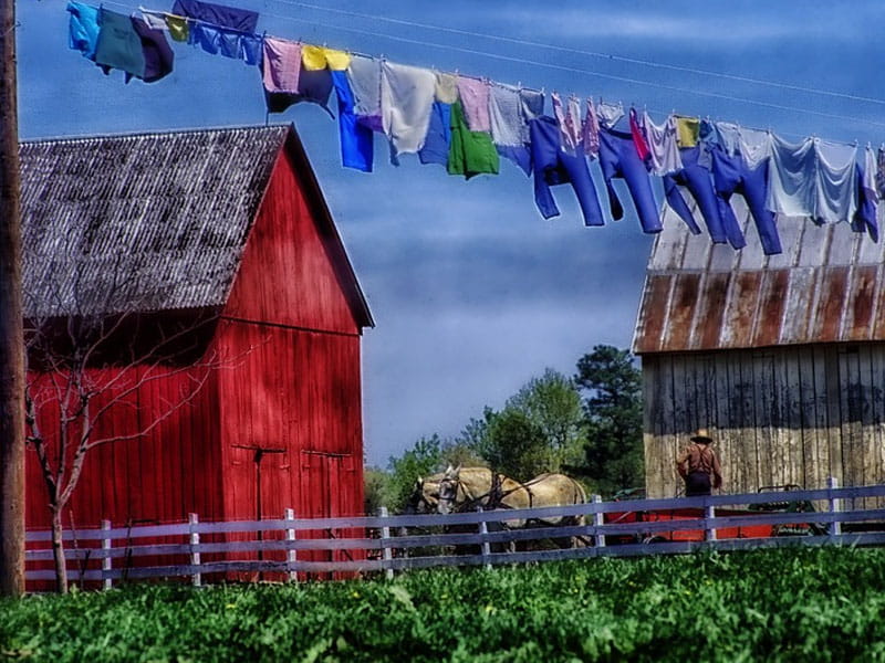 Amish Farm