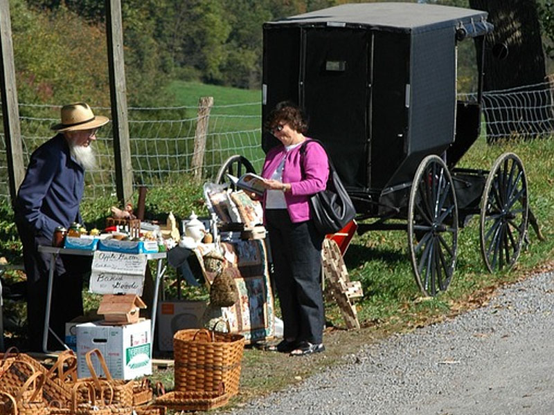 Amish Stand 