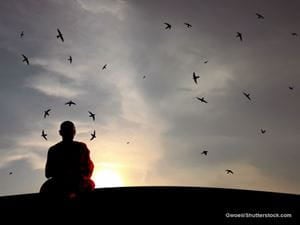 Buddha Monk Nature Birds