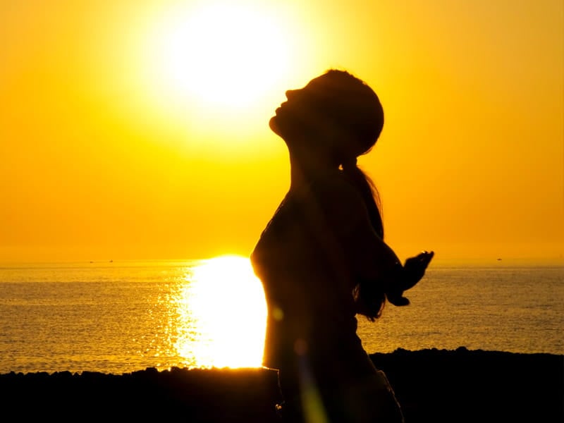 Ascent of the Soul - Vimarsana News